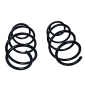 601335D Suspension Spring