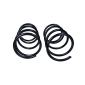601544D Suspension Spring