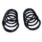 601579D Suspension Spring
