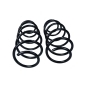 601591D Suspension Spring