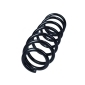 601318 Suspension Spring