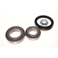 330066 MAXGEAR Комплект подшипника