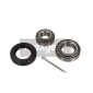 331029 MAXGEAR Комплект подшипника ступицы