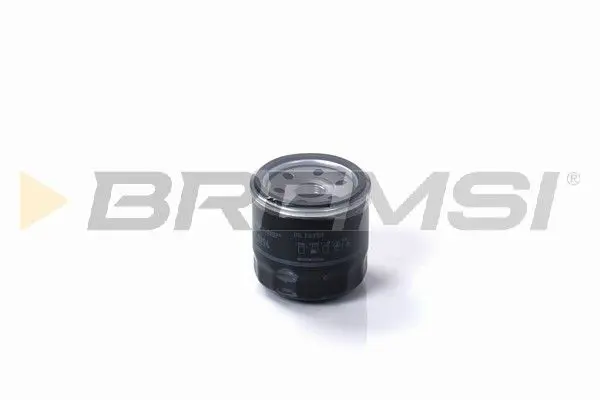 FL0294 Oil Filter