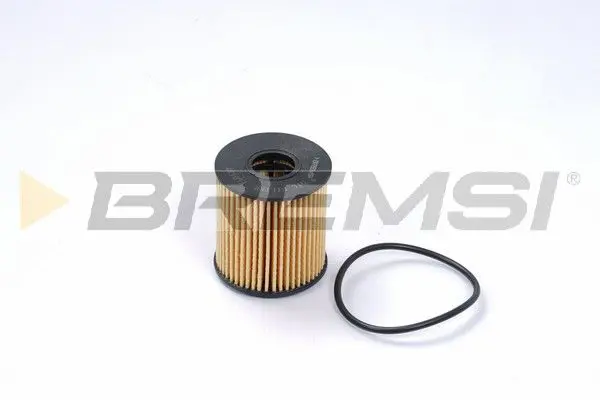 BREMSI FL0137 Oil Filter