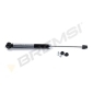 SA2254 Shock Absorber