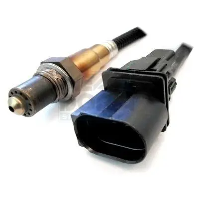 81553 
