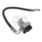 MEAT & DORIA 241006