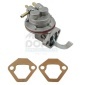 MEAT & DORIA POC652