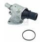 MEAT & DORIA 92024