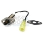 MEAT & DORIA 81020