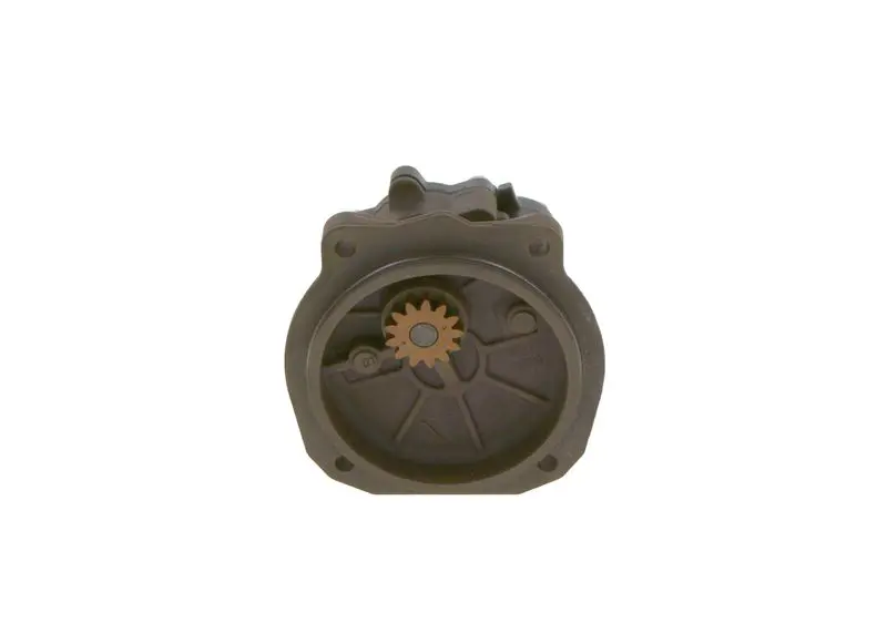 Bosch 0440020028 Шестеренный насос RENAULT