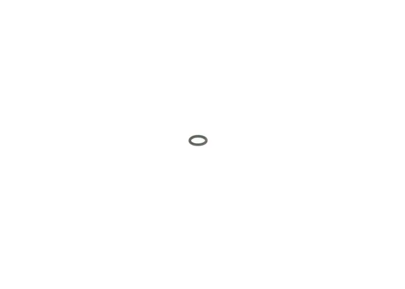 BOSCH 2440210010 Кольцо уплотнительное