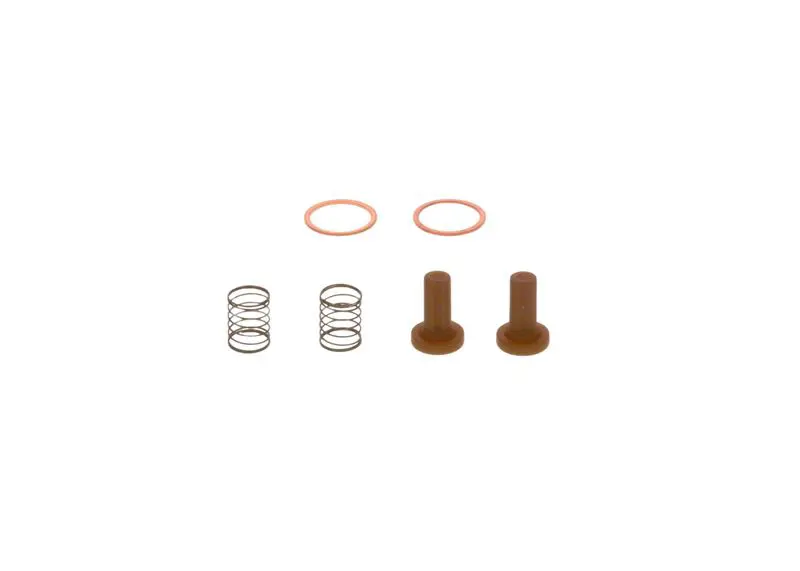 BOSCH 2447010011 Ремкомплект ТНВД DAF IVECO