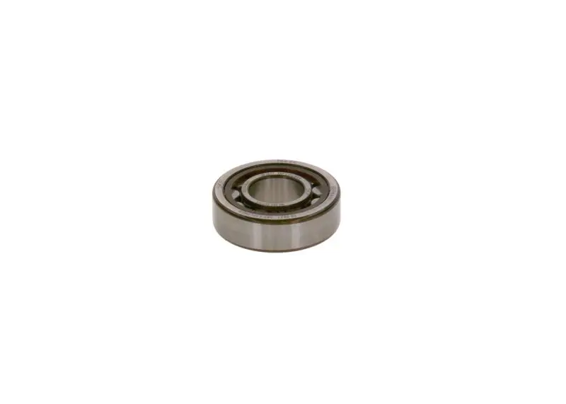 2 120 910 000 Cyl. roller bearing