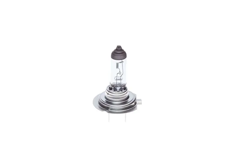 BOSCH 1987302863 ЛАМПОЧКА ГАЛОГЕНОВАЯ