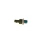 BOSCH 0281002504