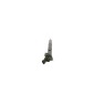 Bosch 0445116054