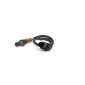 0281004137 Lambda sensor