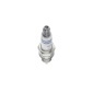 Bosch 0242135563