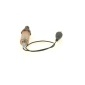 Bosch 0258001051