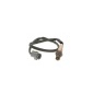 Bosch 0258010079