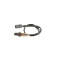 Bosch 0258010079