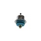 Bosch 0280160597