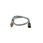 Bosch 0281004207