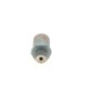 Bosch 1110010021