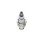 BOSCH 0242232504
