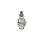 BOSCH 0242229779