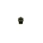 Bosch 0281006507