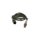 Bosch 0258017254