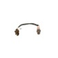 0258010120 Lambda sensor