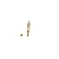 BOSCH 0250202076