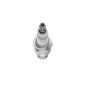 BOSCH 0242255502