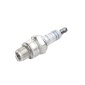 0242245517 Spark plug