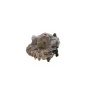 Bosch 0445020110