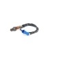 0258010244 Lambda sensor