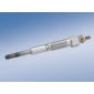 0250202058 Glow plug