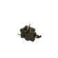 BOSCH 0445010234