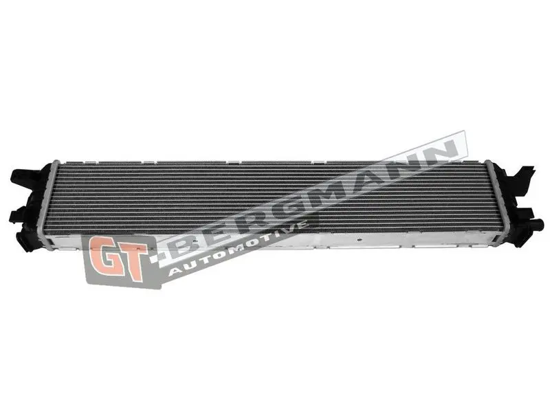 GT-BERGMANN GT12031 Низкотемпературный охладитель,