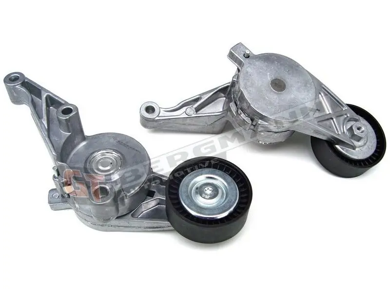 GT-BERGMANN GT51009 Натяжитель ремня, клиновой