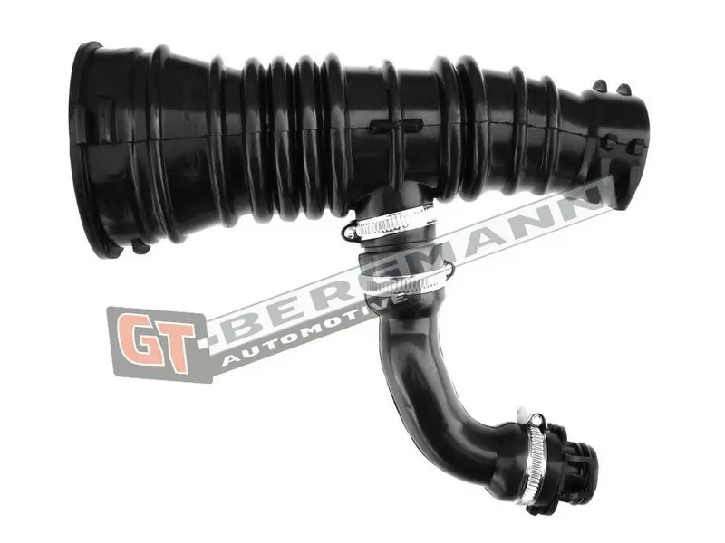 GT-BERGMANN GT52196 Рукав воздухозаборника,