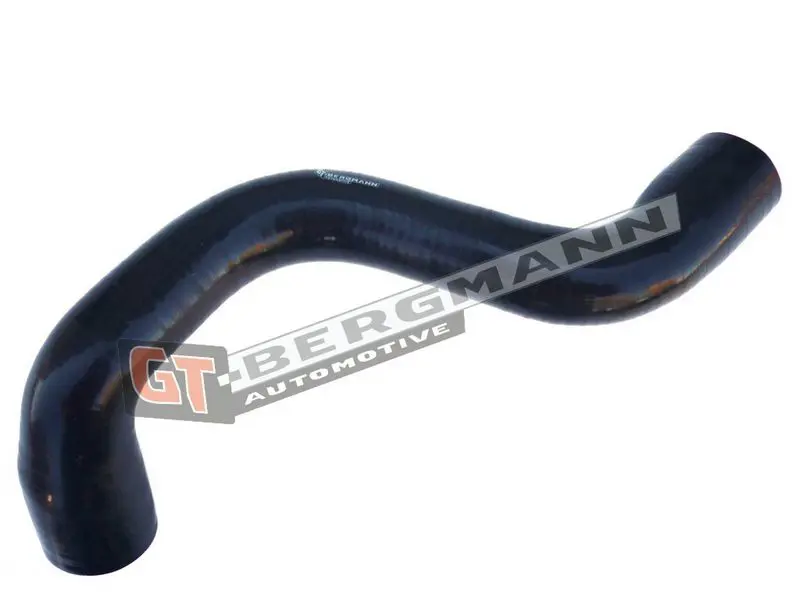 GT-BERGMANN GT52280 Трубка нагнетаемого воздуха