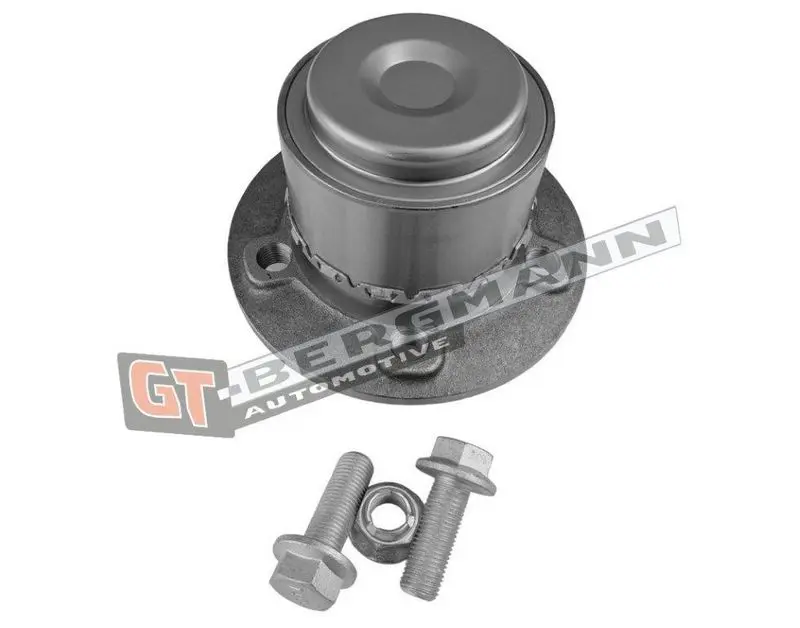 GT-BERGMANN GT24169 Wheel Bearing Kit