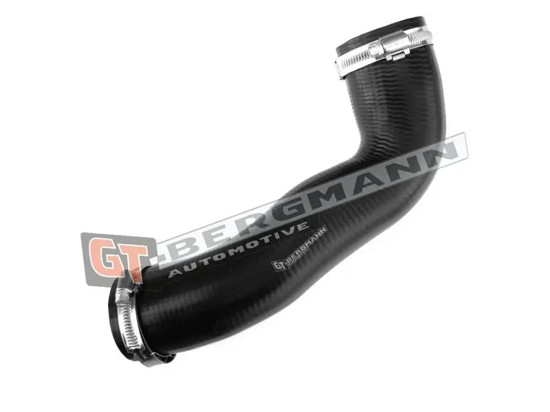 GT-BERGMANN GT52198 Трубка нагнетаемого воздуха