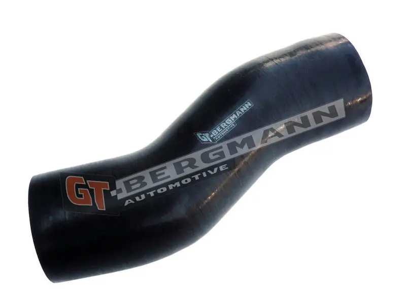 GT-BERGMANN GT52261 Трубка нагнетаемого воздуха