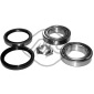 74031 Wheel bearing kit